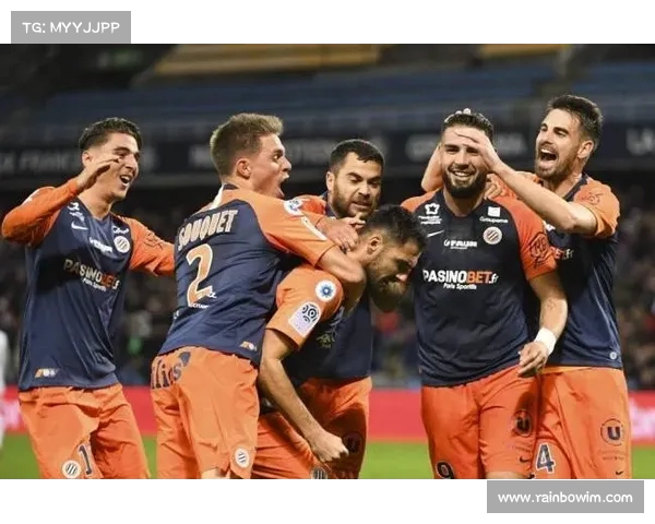 法甲各队失球统计分析与防守表现对比研究